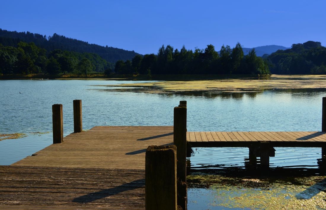 A wooden dock reaching into a calm summer lake